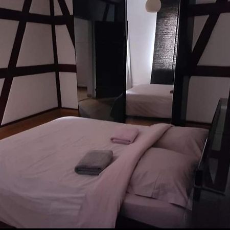 Spacious Appartement Colmar 2 外观 照片